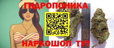 Альфа ПВП Волгодонск