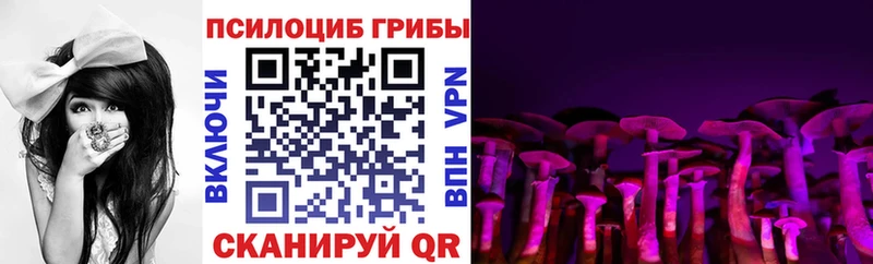 Галлюциногенные грибы MAGIC MUSHROOMS  купить закладку  Волгодонск 