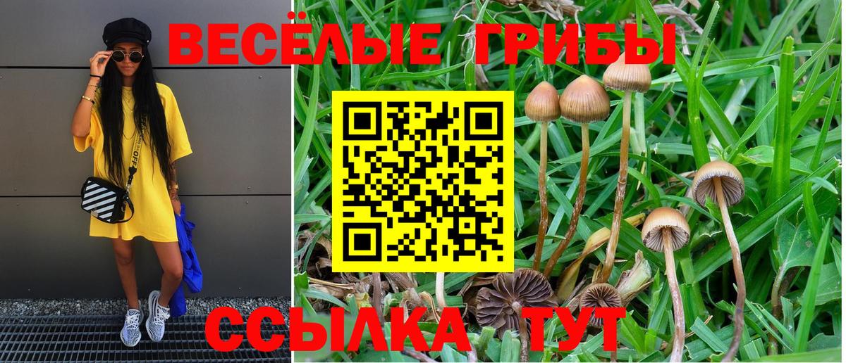ГАШ Волгодонск