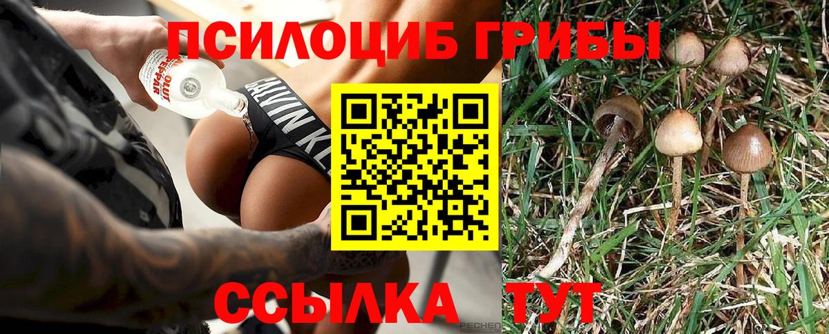Галлюциногенные грибы Magic Shrooms  Вход с VPN  Псилоцибиновые грибы Psilocybine cubensis  Волгодонск 