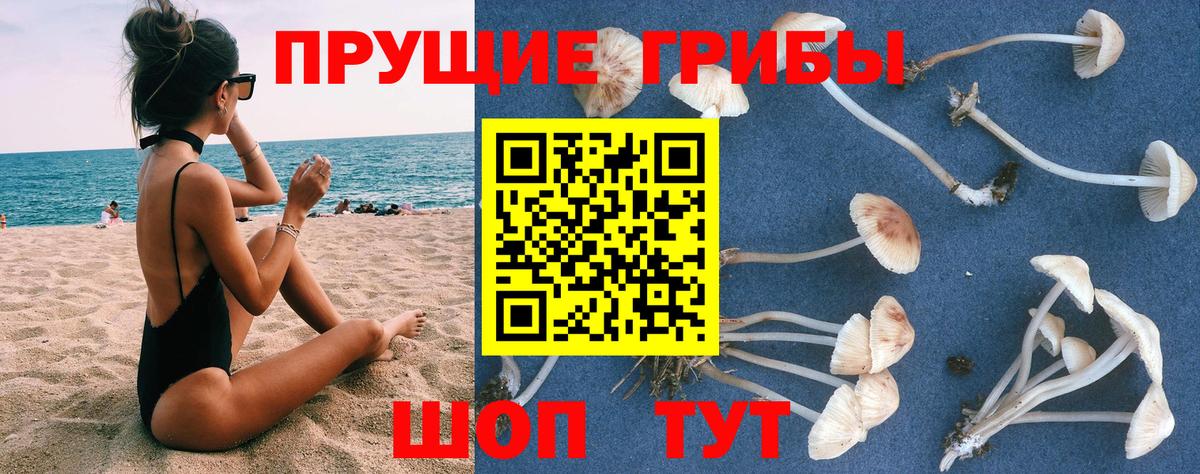 Галлюциногенные грибы прущие грибы  Волгодонск 