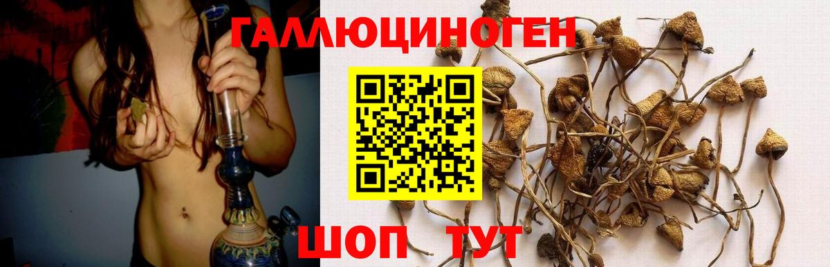 Галлюциногенные грибы мицелий Волгодонск